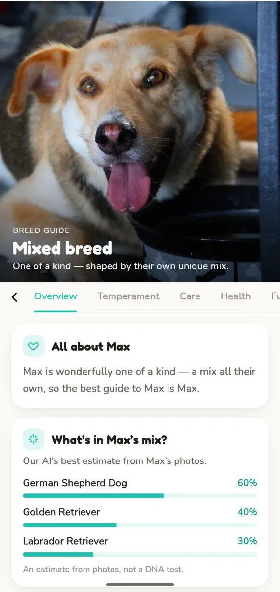 The breed guide showing Max's mixed-breed estimate and temperament tabs